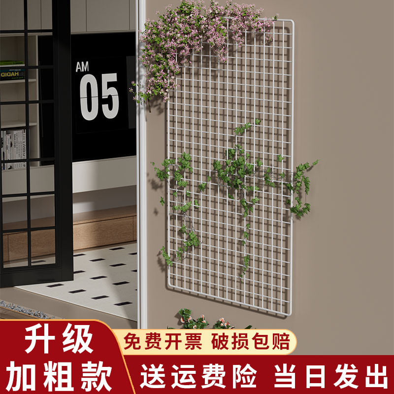 网格花架植物爬藤架月季铁线莲蝴蝶兰花墙面挂网攀爬网花盆展示架