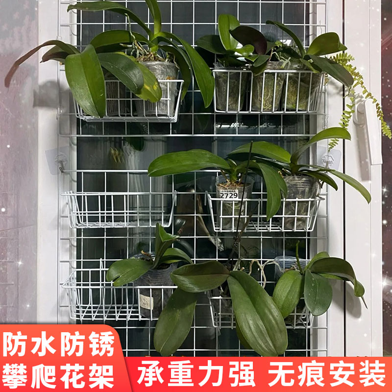 白色铁丝网格片月季花架攀爬架绿植蔷薇爬藤网多肉花卉花盆壁挂架