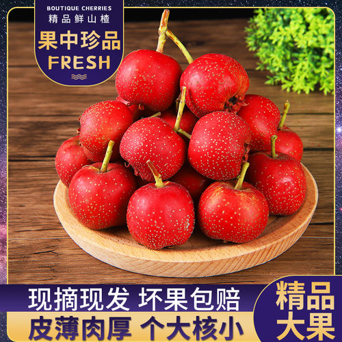 2025新鲜山楂鲜果山楂新鲜五斤