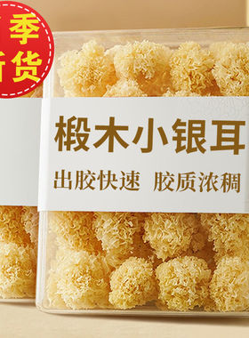 椴木小银耳干货古田特产新鲜白木耳糯耳百合莲子银耳羹易冲泡