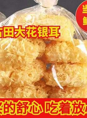 新货古田银耳大花银耳干货非特级木耳百合雪耳白莲子汤蛹虫草毛重