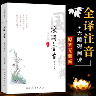全集小学生儿童注音版 宋词三百首正版 唐诗三百首宋词三百首正版 原文译文注音注释 唐诗宋词鉴赏辞典宋诗三百首宋词全集 全集注音版