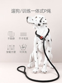 狗牵引绳中大型犬狗炼子防爆冲宠物训犬p绳金毛训练p炼加长遛狗绳
