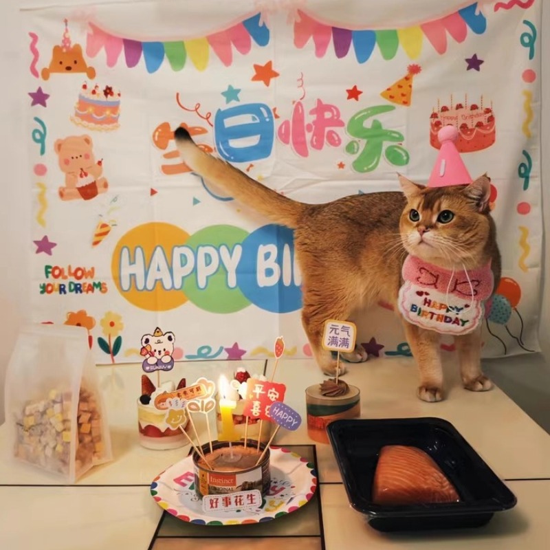 宠物生日围兜拍照道具