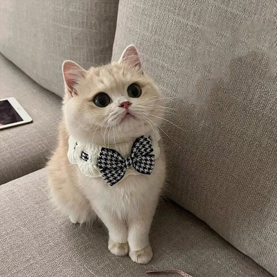 猫咪围脖口水巾狗狗配饰围兜小猫衣服布偶猫围嘴宠物泰迪比熊围巾