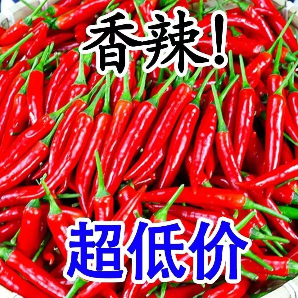 新鲜小米椒红皮小辣椒小尖椒特辣绿色青米椒现摘现发朝天椒小米辣