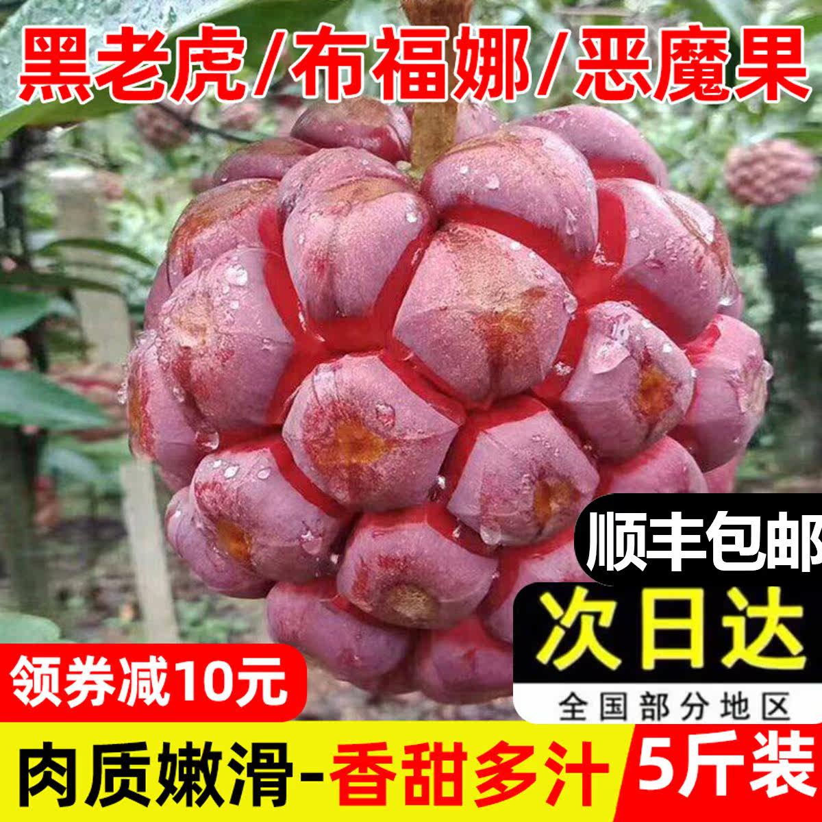 黑老虎布福娜果水果恶魔果实新鲜直发纯天然罕见稀有当季稀奇尝鲜
