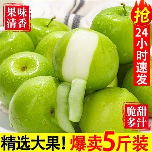 正宗苹果枣青枣新鲜水果果园直发孕妇采摘纯甜鲜果多汁应季水果