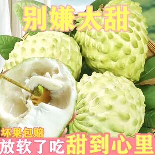 新鲜牛奶凤梨释迦林檎老树大果番荔枝摩尼果佛头当季整箱新鲜水果