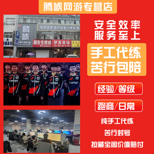 梦幻西游代练畅玩服刷经验升级抓鬼副本机缘官职青龙跑商人宝宝环