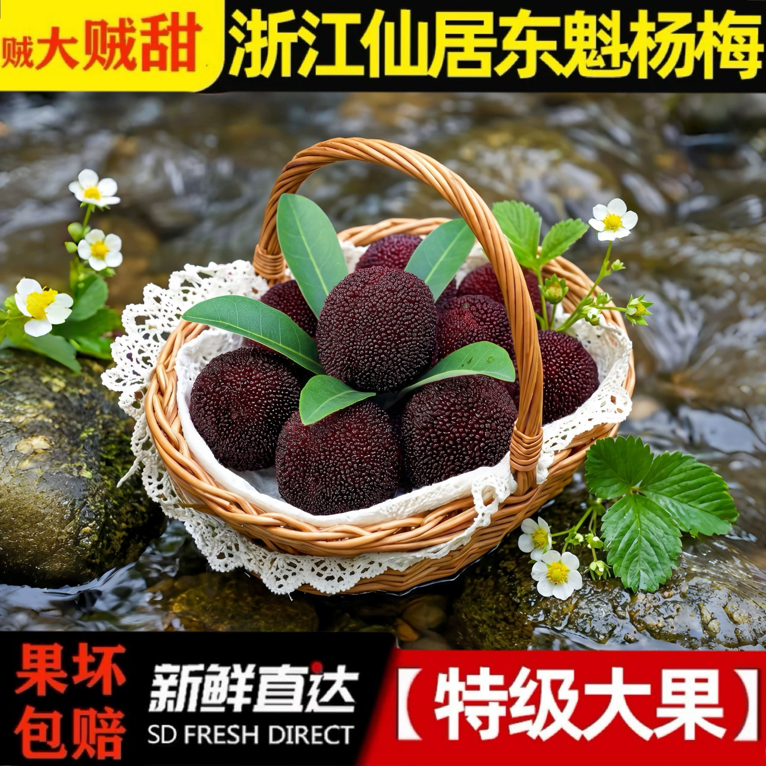 现大杨梅正宗仙居东魁杨梅大果新鲜当季孕妇水果现摘现发送礼专