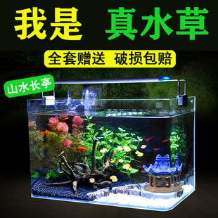 速发真水草缸造景套餐客厅小型桌角超白玻璃直面生饰装态水族箱