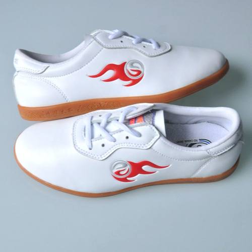 速发新款晨练太牛鞋业款高档春秋款极筋软底防滑武术鞋专男练功鞋