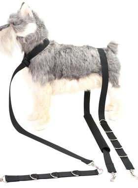 宠物美容洗澡带沐浴带 固定带 狗狗美容狗狗吊带 清洁毛发狗狗带