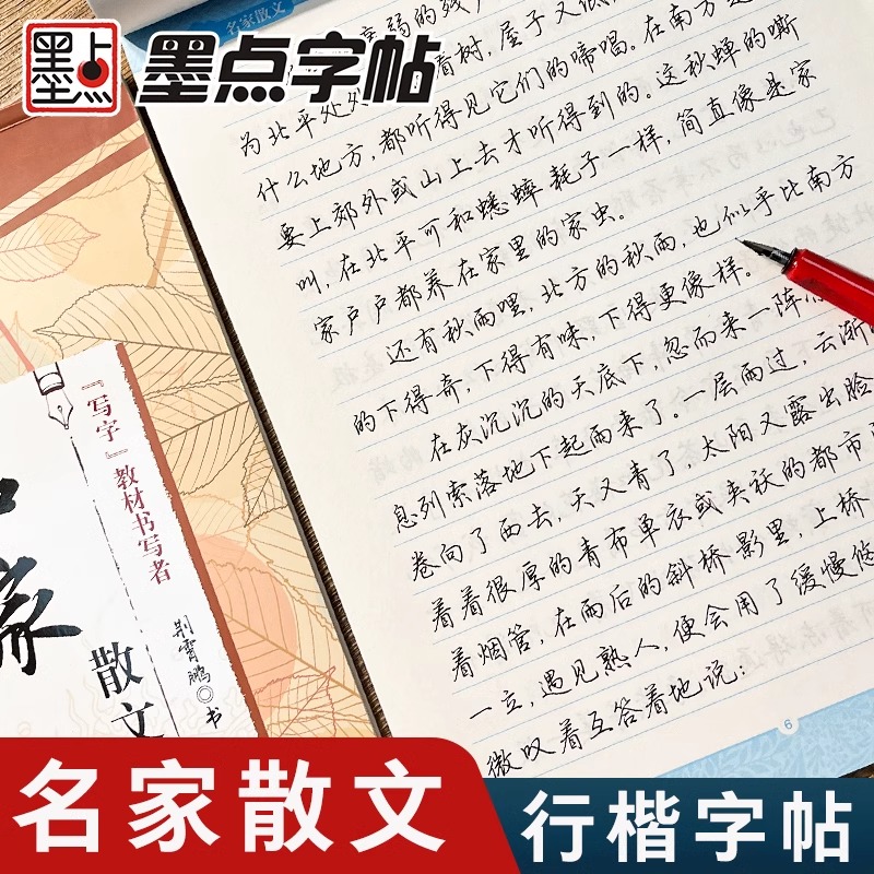 荆霄鹏行楷字帖钢笔字帖行楷成人练字硬笔书法练字本成年硬笔字帖墨点字帖大开本名家散文硬笔临摹练字帖成年行楷常用字字帖