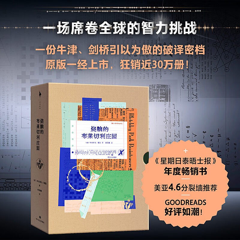 烧脑的布莱切利庄园 辛克莱儿麦凯著 以模仿游戏中人工智能之父图灵所效力的二战传奇破译基地布莱切利庄园真实谜题为原型侦探小说