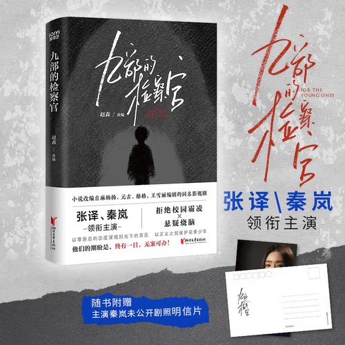 九部的检察官原著小说 赵森著  张译/秦岚主演的爱奇艺热播同名影视剧 校园霸凌悬疑探案 侦探悬疑推理小说