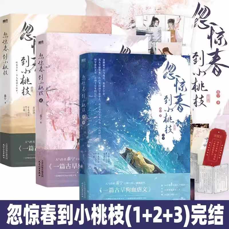 忽惊春到小桃枝123 全三册 完结篇大结局终章 小说 原名《一篇古早狗血虐文》黍宁 古风言情古代青春文学小说新书实体书