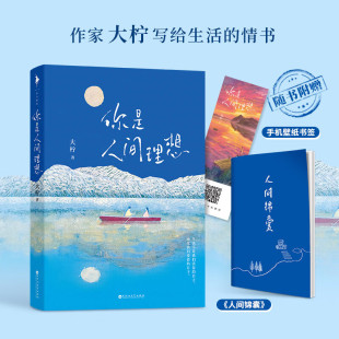 情书 现代版 浮生六记 你是人间理想 现当代文学 写给生活 和你在一起才是全世界后又一力作 都市言情小说书籍 大柠
