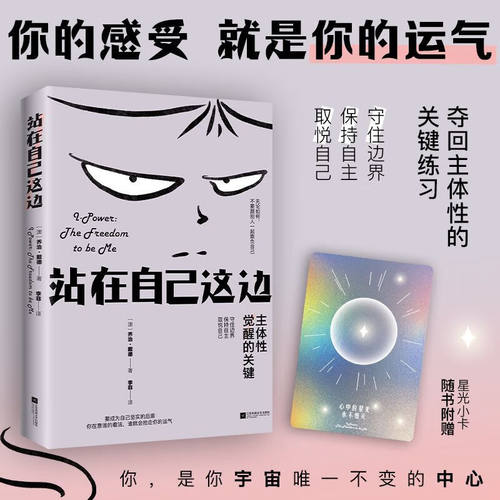 站在自己这边 主体性觉醒的关键 励志 心理学 自我完善 别害怕冲突 我总在好运的能量里