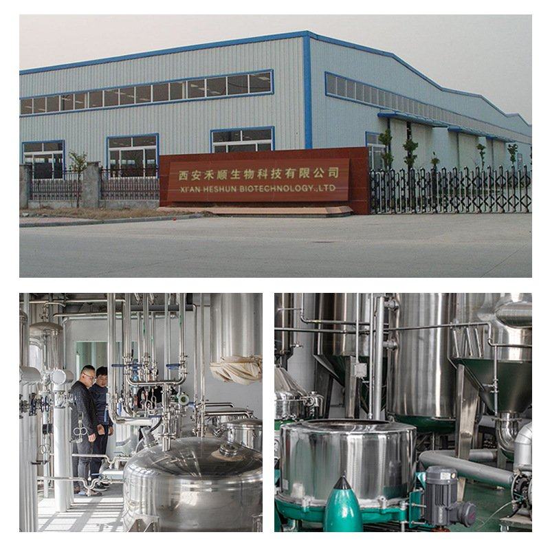 仙人掌果粉99% 全水溶 仙人果提取物 现货供应 量大优惠 仙人掌粉,机械设备,消毒灭菌设备,淘宝优惠券,粉丝福利购,淘宝优惠卷