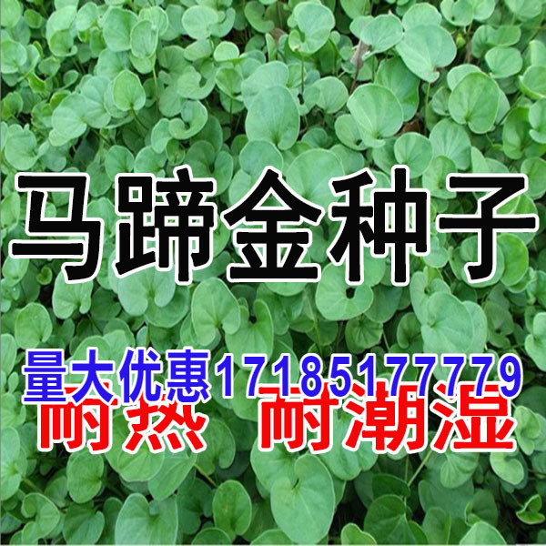 (ݵͼƬ)