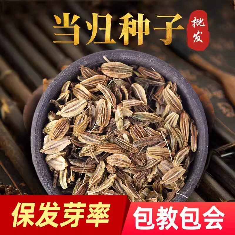 当归种子野生优质纯新籽岷图片