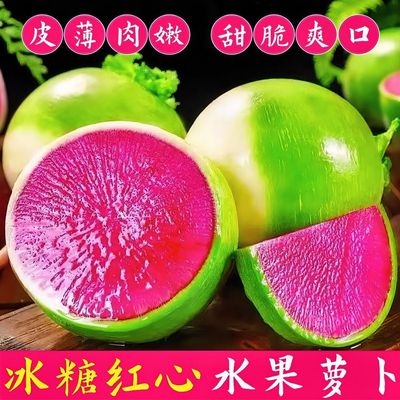 心里美萝卜种子籽春秋四季