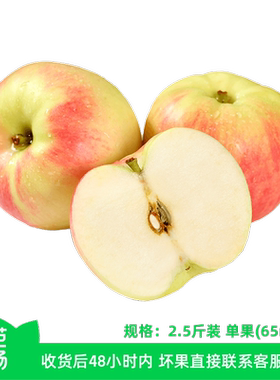 【芭芭农场】嘎啦苹果2.5斤单果65mm+