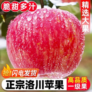 正宗陕西洛川红富士苹果当季现摘新鲜水果脆甜多汁冰糖心