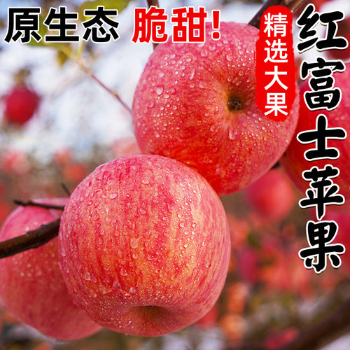 山东苹果畅销榜脆甜爽口