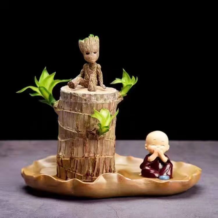 巴西木盆栽水养迷你盆栽幸运木办公室内桌面格鲁特带芽水培绿植物