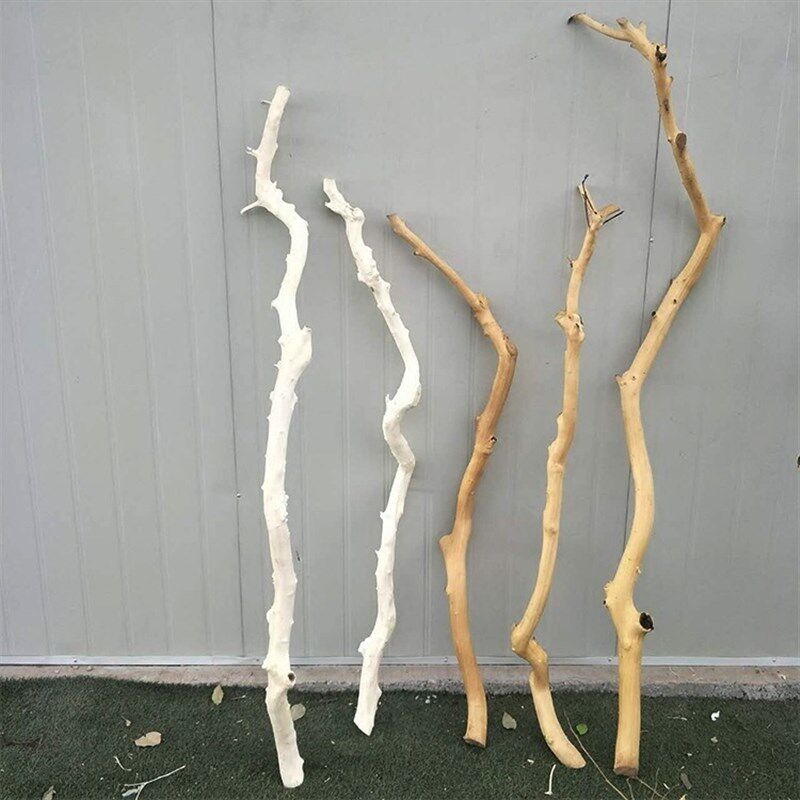 干树枝原木杈艺术干枝枯枝枯木树干树木造型壁挂衣架吊顶树枝装饰