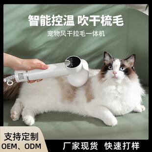 宠物电动吹梳一体机猫咪吹毛梳毛拉毛清洁猫狗祛毛梳美容用品