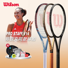 Wilson pro staff V14 威尔胜郑钦文网球拍PS97 V14网球拍全碳素