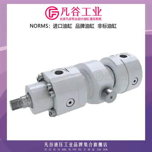 现货Watz油缸液压缸ZM1-10s0/56-250-1G/DB2-A-C 双作用工程缸油