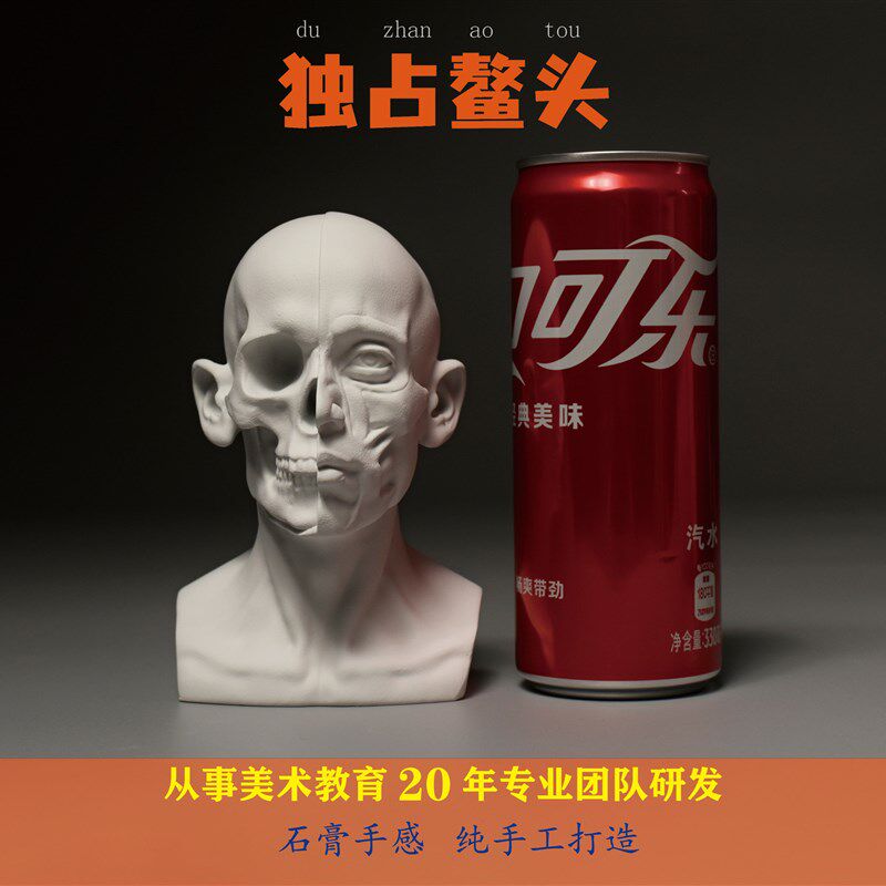 速发素描教具头骨石膏像双面人解剖 美术生写生工具迷你版可任选