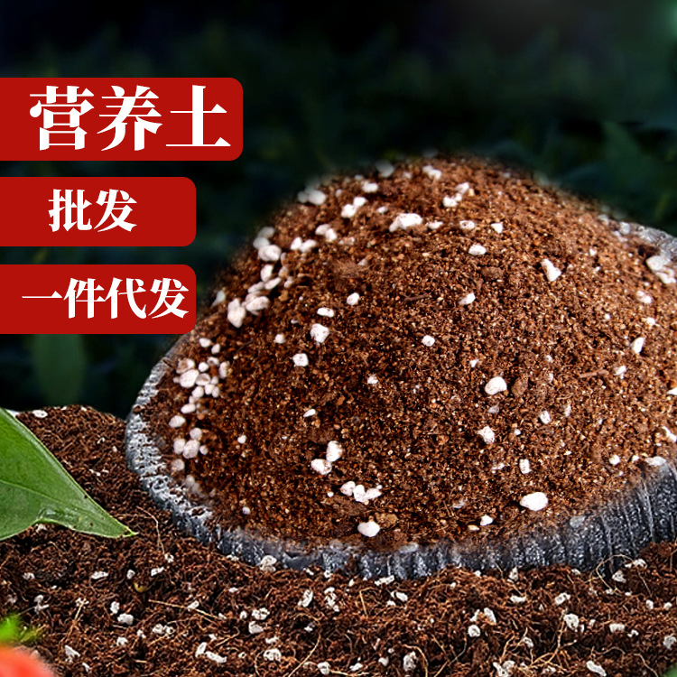 思博育苗/栽培基质新款厂家