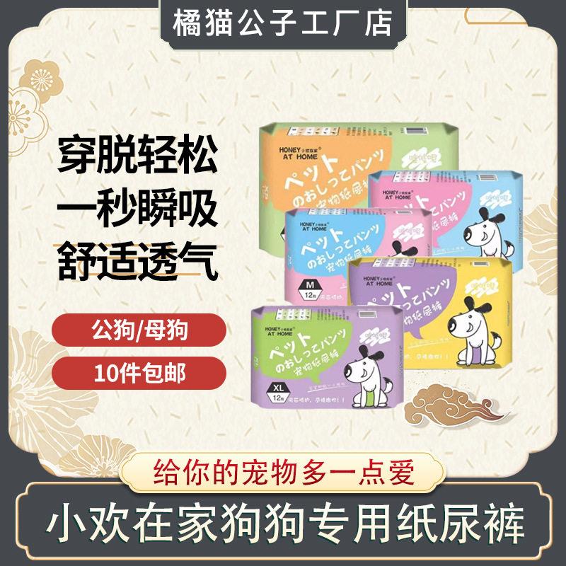 小欢在家宠物纸尿裤裤尿不湿安全