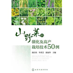 主编山野菜 驯化及高产栽培技术50例 化学工业出版 华秀芝 社9787122227775 包邮 陈福华 旧书 满昌伟 正版