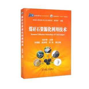 程芳琴,张圆圆,高建明,彭犇煤矸石资源化利用技术（正版旧书包邮）冶金工业出版社9787502492762