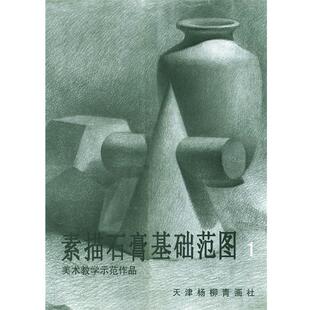刘建国 等编著素描石膏基础范图 1(正版旧书包邮)天津杨柳青画社9787805034829