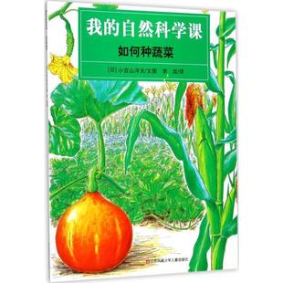 正版 社9787534693052 小宫山洋夫 江苏凤凰少年儿童出版 包邮 旧书 译如何种蔬菜 李奕 文图 日