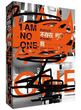 (美)帕特里克·弗兰纳里(Patrick Flanery)不存在的我（正版旧书包邮）时代华文书局9787569925319
