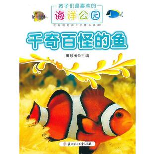 田战省　主编孩子们喜欢的海洋公园--千奇百怪的鱼（正版旧书包邮）北方妇女儿童出版社9787538532302