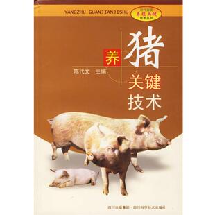 陈代文 主编养猪关键技术(正版旧书包邮)四川科技出版社9787536450639
