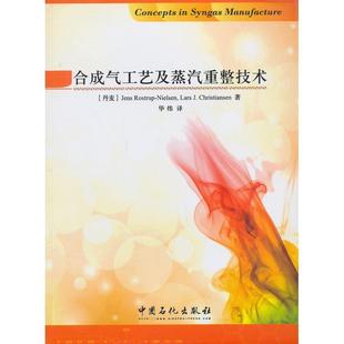 译合成气工艺及蒸汽重整技术 丹 著 正版 中国石化出版 尼尔森 包邮 楚普 社有限公司9787511422507 克里斯蒂安斯 旧书 华炜