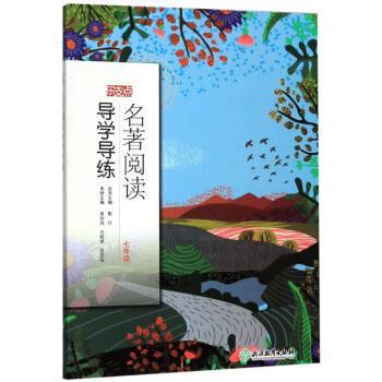 吴玲凤,方桂琴,方志仙,斯行 编名著阅读导学导练 乐支点（正版旧书包邮）浙江教育出版社9787553695426