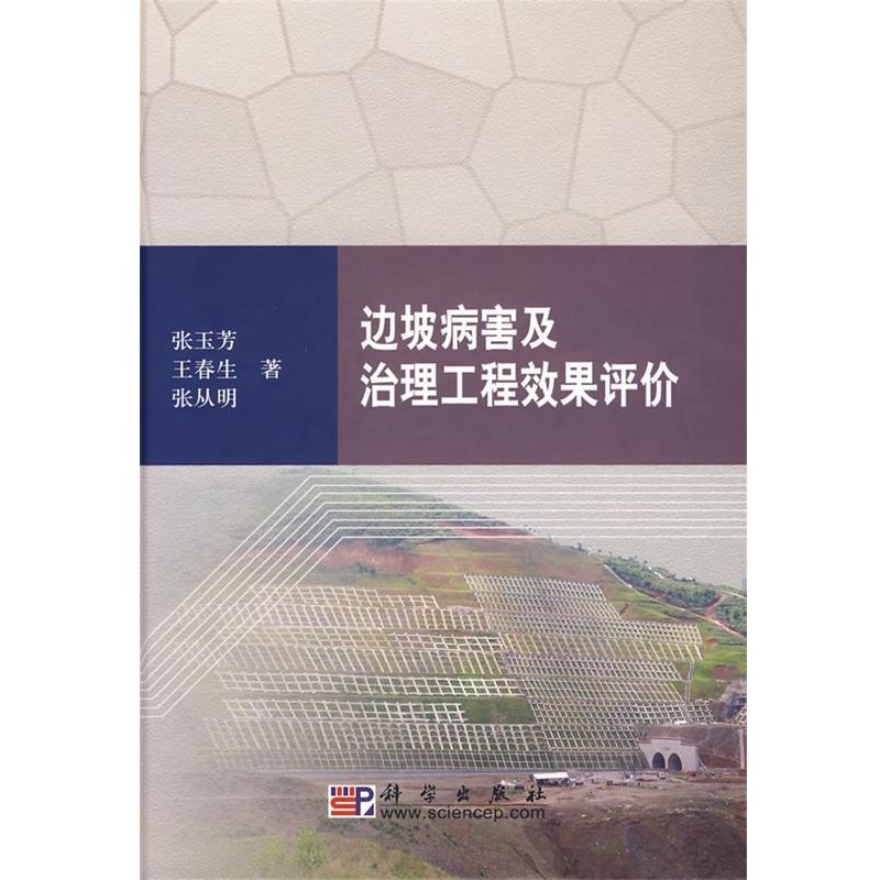 张玉芳,王春生,张从明　著边坡病害及治理工程效果评价（正版旧书包邮）科学出版社9787030257024