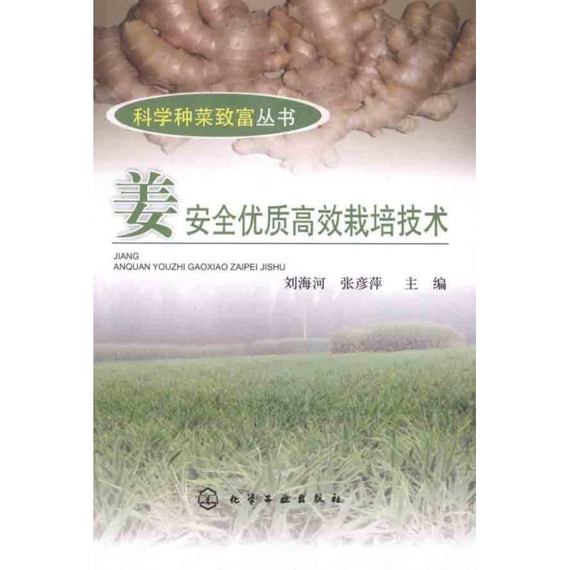 刘海河,张彦萍　主编科学种菜致富丛书--姜安全优质高效栽培技术（正版旧书包邮）化学工业出版社9787122123343